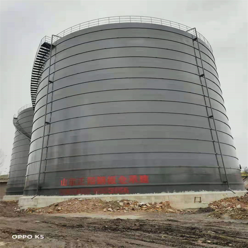 浠水3万吨大型钢板库