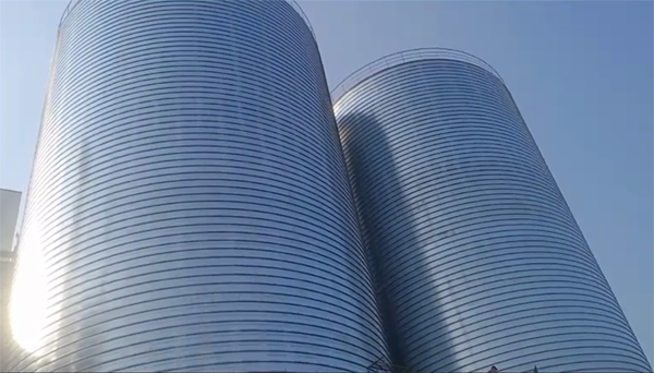 浠水2座混凝土高架卷板仓